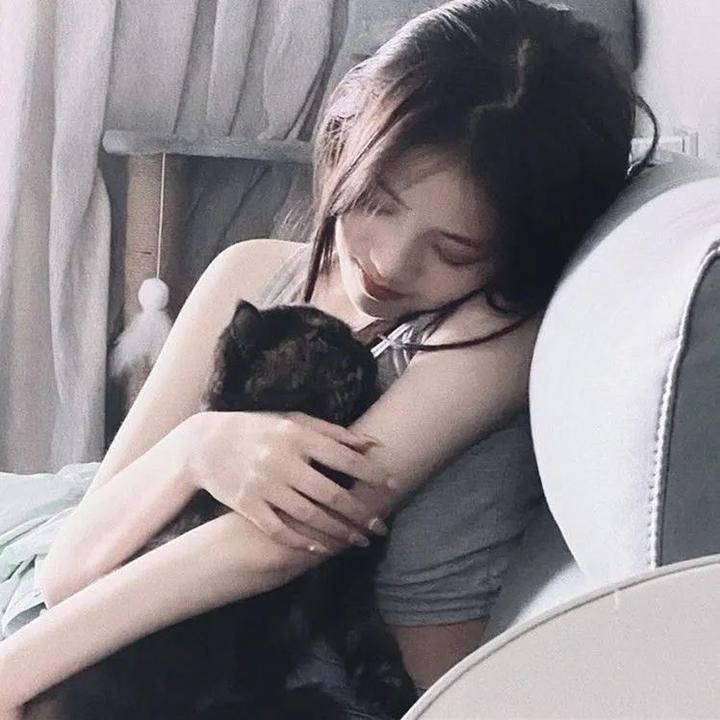 龟女士的奥德赛海报